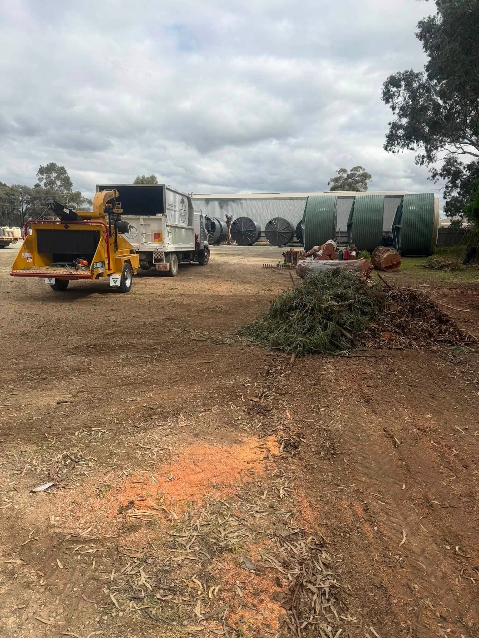 Cleanup & Sales by Luke Dinan Turf & Tree Care