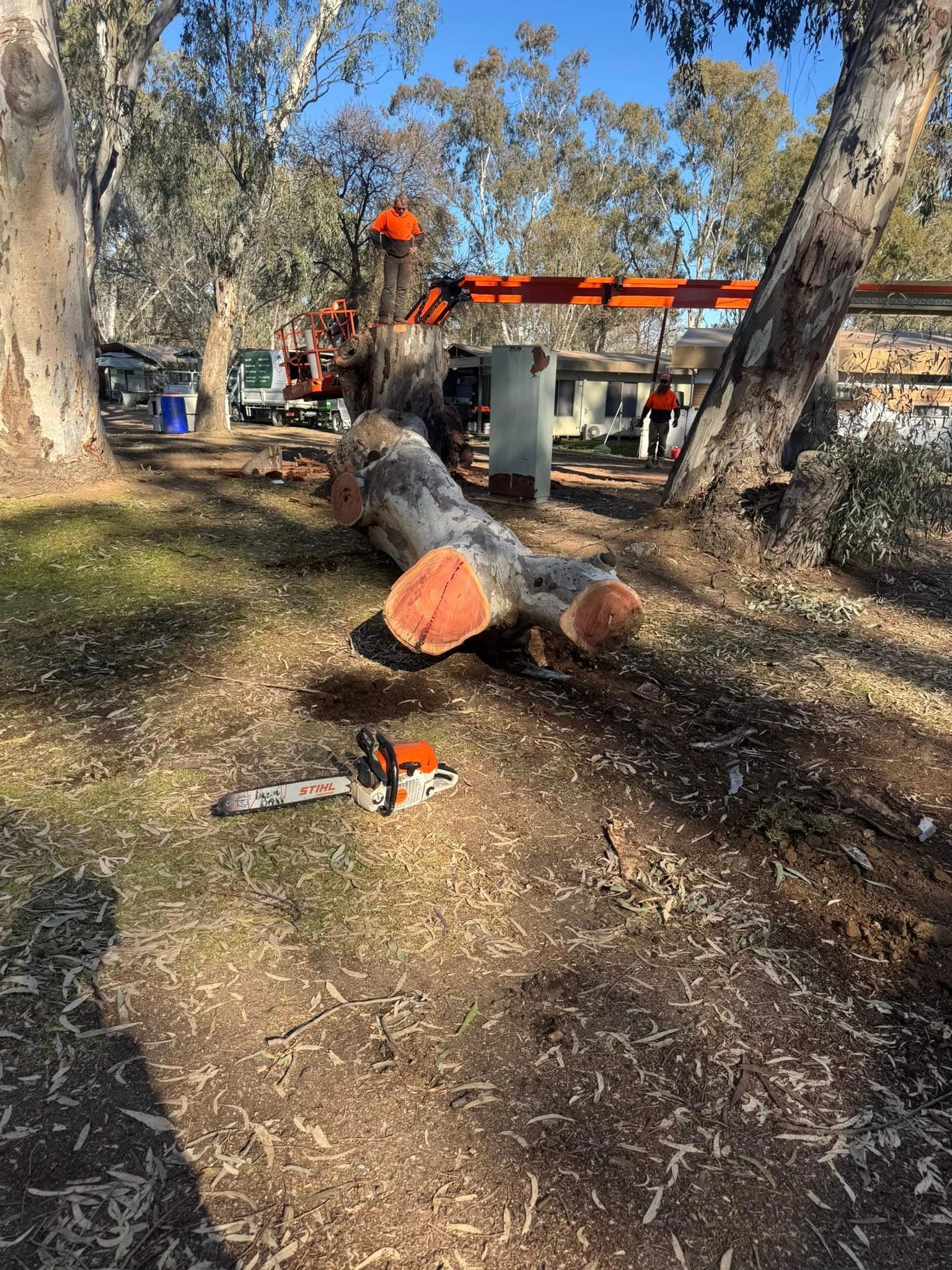 Block Clearing in Echuca by Luke Dinan Turf & Tree Care