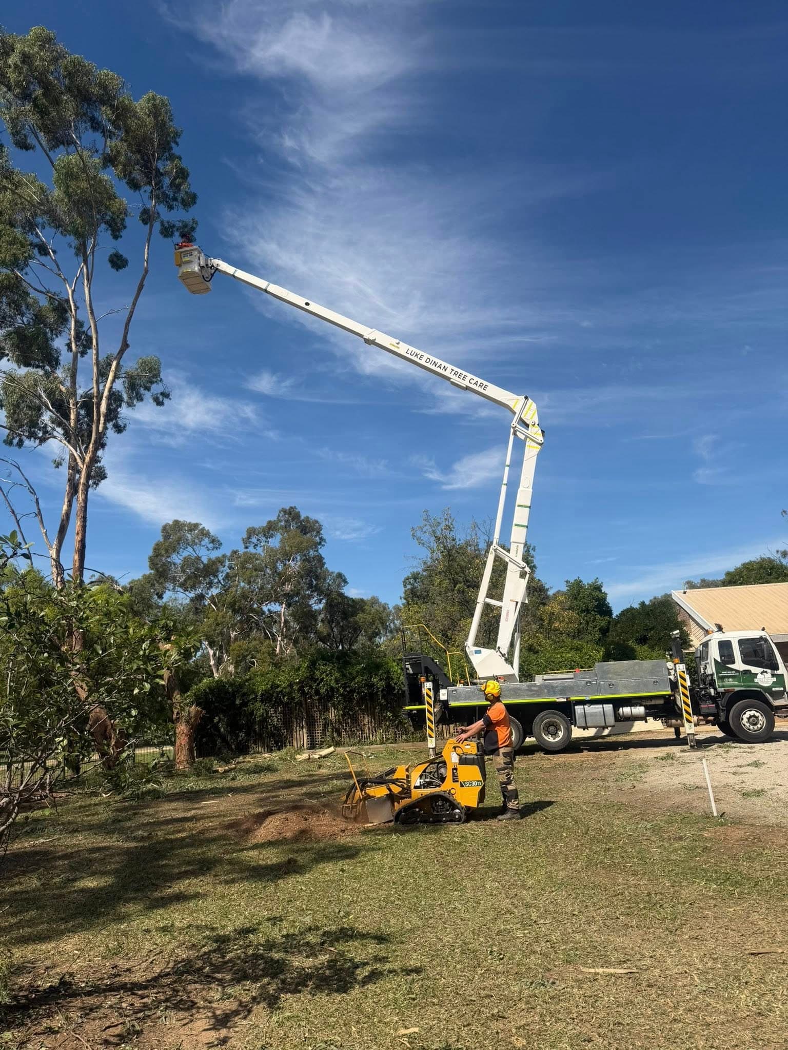 Professional stump grinder removing a stump in Echuca