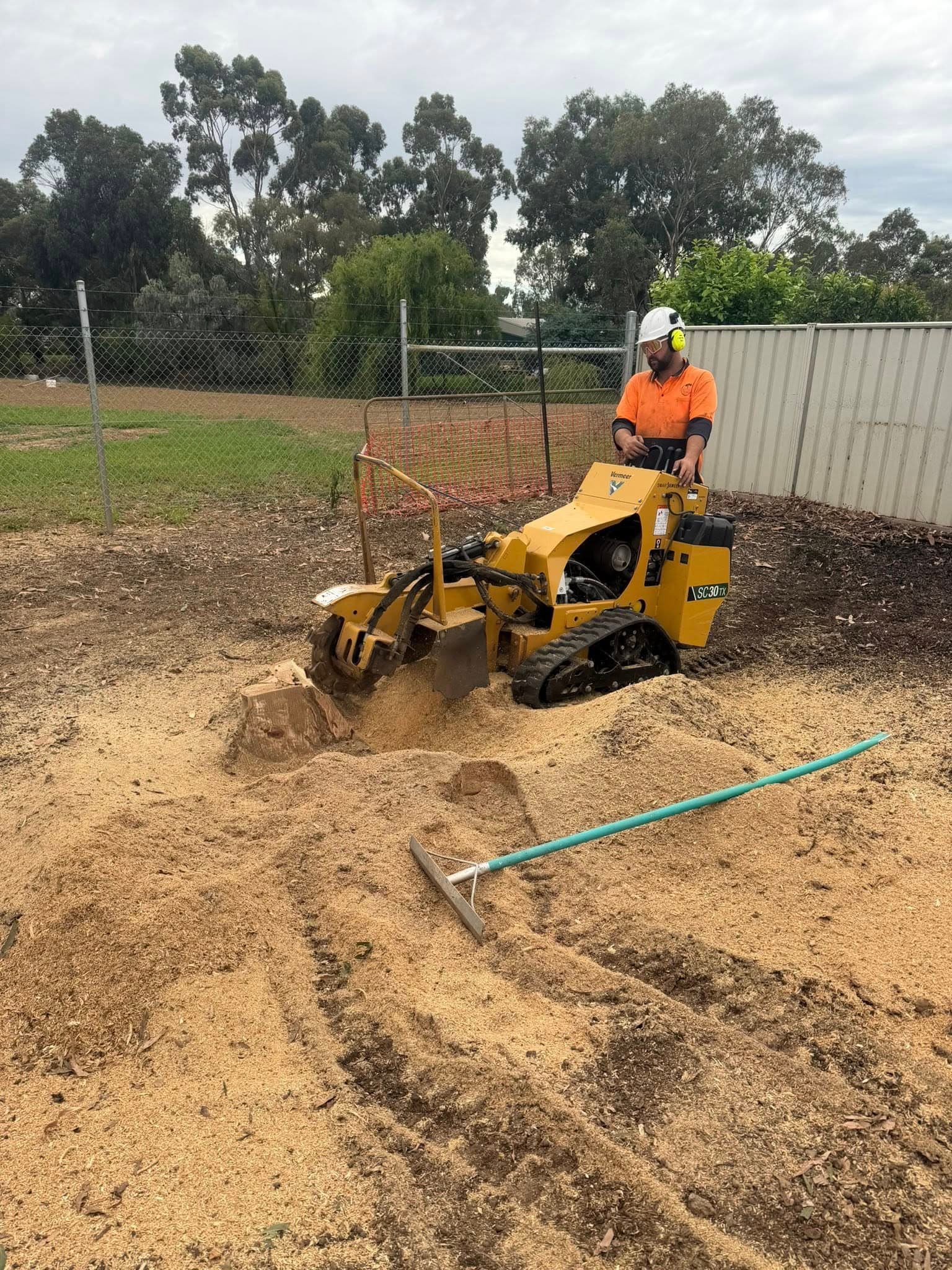 Ground-down stump ready for backfilling on a Moama property