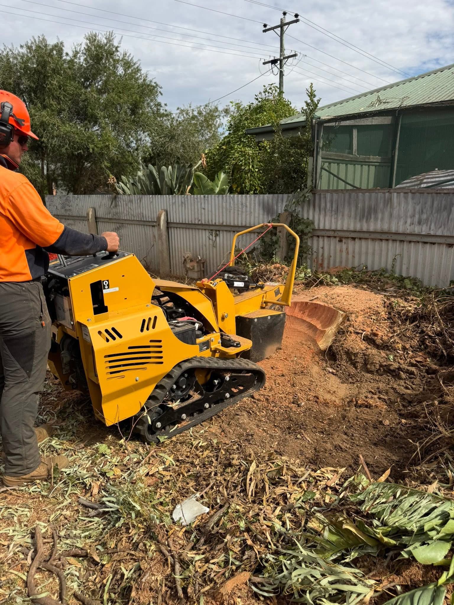 Stump Grinding in Rochester by Luke Dinan Turf & Tree Care