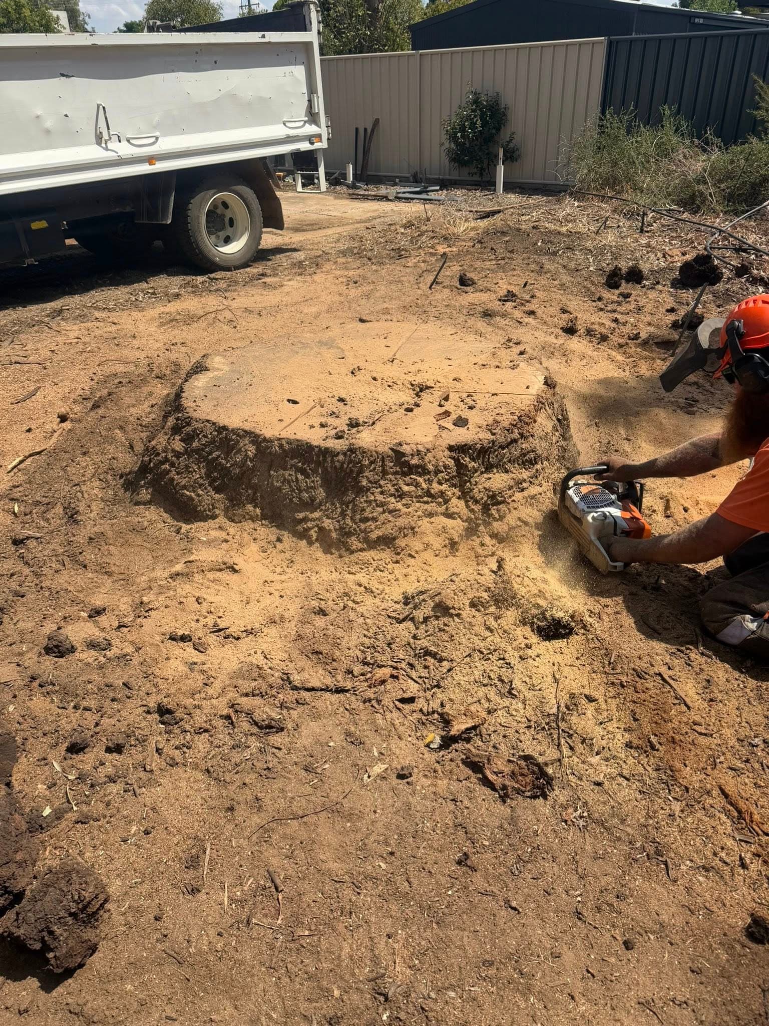 Cleared stump site left clean and level