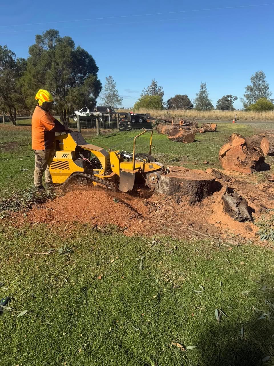 Multiple tree stumps cleared from a property near Moama